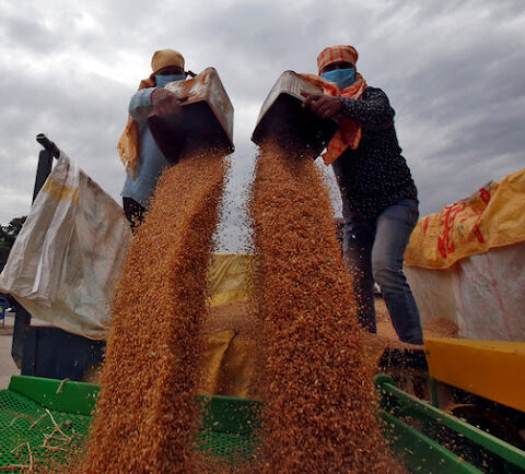 India halts wheat exports, says food security is at risk