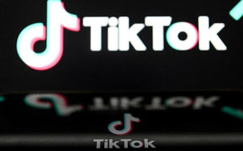 TikTok CEO to fight US ban law