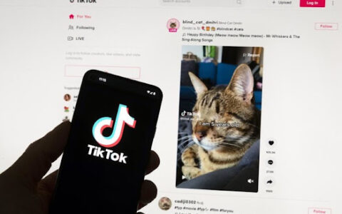 EU court rejects TikTok challenge against new EU digital rules
