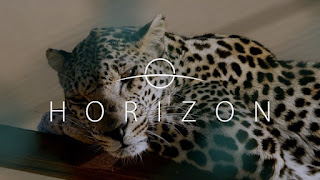 Saudi wildlife documentaries receive top honors at Muse Creative Awards